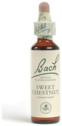 Sweet Chestnut Ανθοΐαμα σε Σταγόνες για Χαλάρωση 20ml Bach