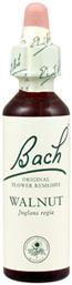 Walnut Ανθοΐαμα σε Σταγόνες 20ml Bach