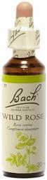 Wild Rose Ανθοΐαμα σε Σταγόνες 20ml Bach