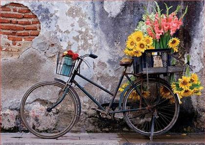Bicycle With Flowers 2D 500pcs