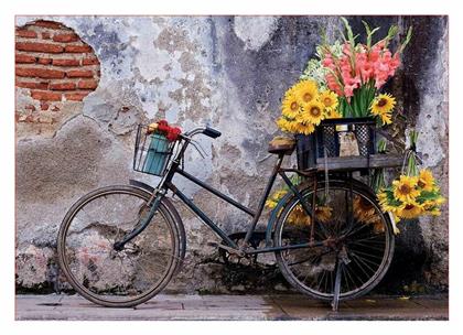 Bicycle With Flowers 2D 500pcs