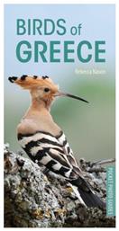 Birds of Greece - Bloomsbury