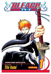 Bleach Vol. 1 - Viz Media