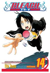 Bleach Vol. 14 - Viz Media
