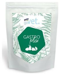 Τροφή για Κουνέλι με Βιταμίνη C Govet Gastroplex Bunny Nature