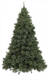 Δέντρο Cashmere - TnS