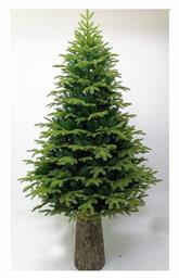 Χριστουγεννιάτικο Δέντρο με Ξύλινο Κορμό 210εκ. με 1438 Κλαδιά - Iliadis