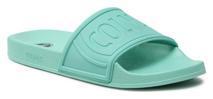 Slides Green Tea Colmar