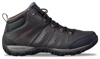 Peakfreak Nomad Chukka Ανδρικά Ορειβατικά Columbia