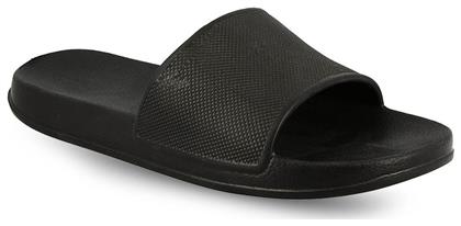 7081 Black Coqui