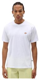 Mapleton T-shirt Λευκό Dickies