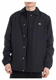 Oakport Μπουφάν Dickies