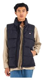 Waldenburg Μπουφάν Puffer Μαύρο Dickies