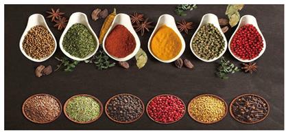 Spices 249 Χαλάκι Κουζίνας Διάδρομος με Αντιολισθητικό Υπόστρωμα Multi 80x200εκ. Dimcol