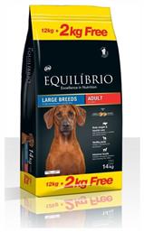 Adult Large 12kg Equilibrio