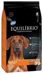 Adult Large Agile 2kg Ξηρά Τροφή για Ενήλικους Σκύλους Μεγαλόσωμων Φυλών με Κοτόπουλο Equilibrio