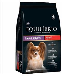 Adult Small 2kg Equilibrio