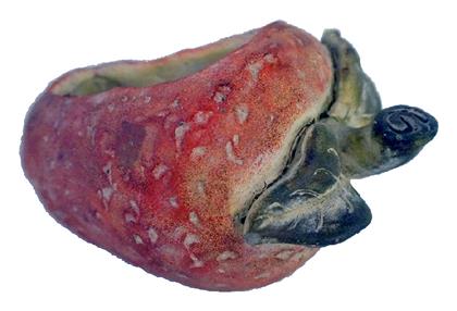 Κασπώ Φράουλα σε Κόκκινο Χρώμα 20x12cm Espiel