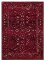Antika 6299AHH 100x150cm Burgundy Ezzo