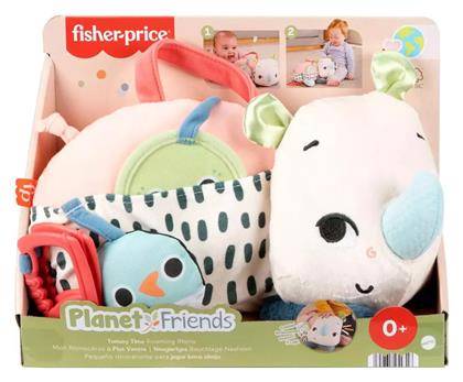 Βρεφικό Παιχνίδι Fisher Price