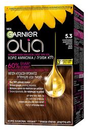 5.3 Καστανό Ανοιχτό Χρυσό Garnier
