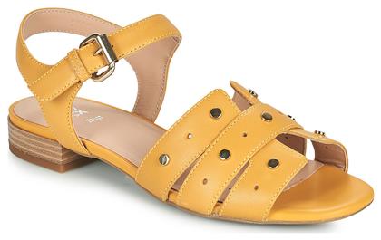 Wistrey Yellow Geox
