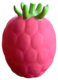 Χοπ Χοπ Φρουτάκι Raspberry για 1+ έτους Ροζ Gerardo’s Toys