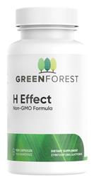 H Effect Green Forest