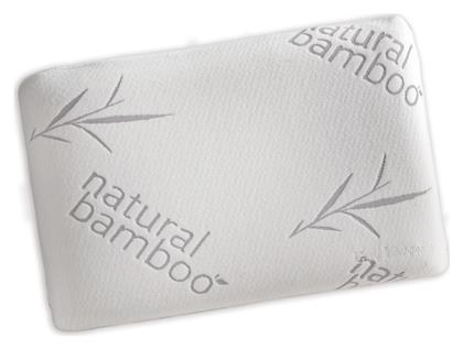 Visco Elastic Aloe Vera Memory Foam Μέτριο 1115086110000 40x60cm Guy Laroche