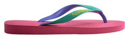 Σαγιονάρες σε Τιρκουάζ Χρώμα Havaianas
