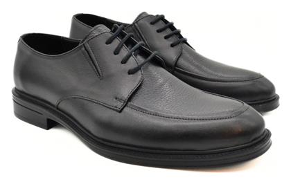 Hawkins Premium