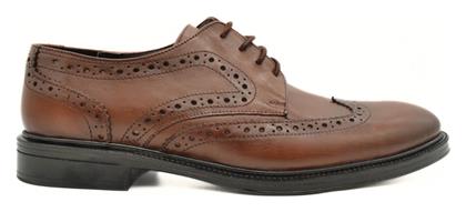 Δερμάτινα Ανδρικά Oxfords Ταμπά Hawkins Premium