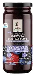 Μαρμελάδα Φρούτα του Δάσους Χωρίς Προσθήκη Ζάχαρης 280gr Κωδικός: 37409687 Healthy Habits