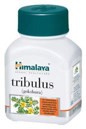 Tribulus Gokshura 60 κάψουλες Himalaya Wellness