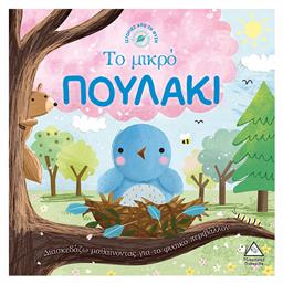 Ιστορίες από τη Φύση: Το Μικρό Πουλάκι - Τζιαμπίρης Πυραμίδα