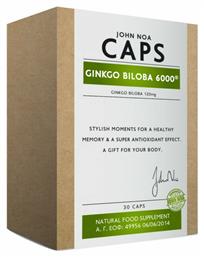 Ginkgo Biloba 6000 120mg 30 κάψουλες John Noa