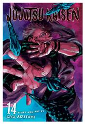 Jujutsu Kaisen, Vol. 14 - Viz Media