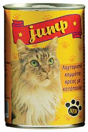 Jump Κονσέρβα Κοτόπουλο 400gr από το Plus4u