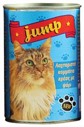 Κονσέρβα Ψάρι 400gr Jump