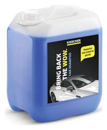 RM565 Καθαριστικό αυτοκινήτων (6.295-360.0) 5lt Karcher
