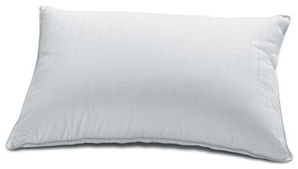 Dream Μαξιλάρι Ύπνου Microfiber Ανατομικό Μέτριο 50x70cm Kentia
