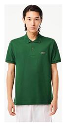 Polo T-shirt Lacoste