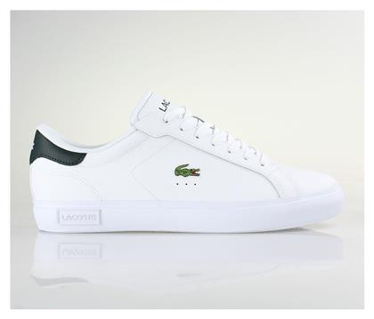 Powercourt Sneakers Lacoste