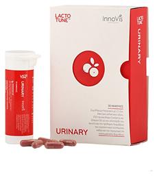 Urinary 30 κάψουλες Lactotune