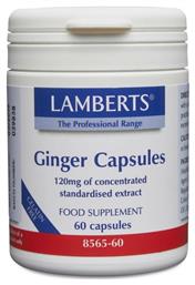 Ginger 120mg 60 κάψουλες Lamberts