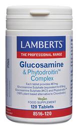 Glucosamine & Phytodroitin Complex Lamberts