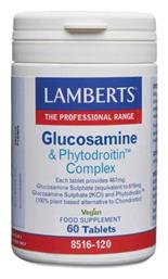 Glucosamine & Phytodroitin Complex 60 ταμπλέτες Lamberts