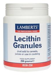 Lecithin Granules Συμπλήρωμα Διατροφής Λεκιθίνης Κόκκους Μεταβολισμό Του Λίπους Έλεγχο Του Βάρους & Χοληστερίνης 250gr Lamberts