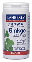 Time Release Ginkgo Lamberts