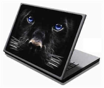 LAPTOP SKINS